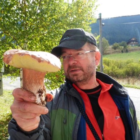 Neodmysliteľnou súčasťou sú aj huby