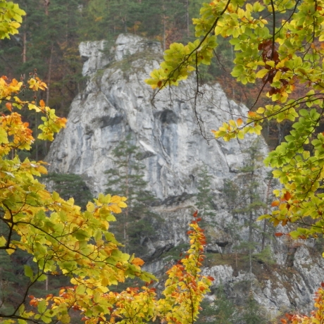 Ku stretávke na Hutách patrí samozrejme aj nejaká túrička